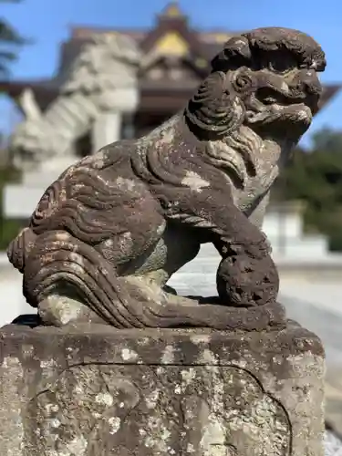 武州柿生琴平神社の狛犬