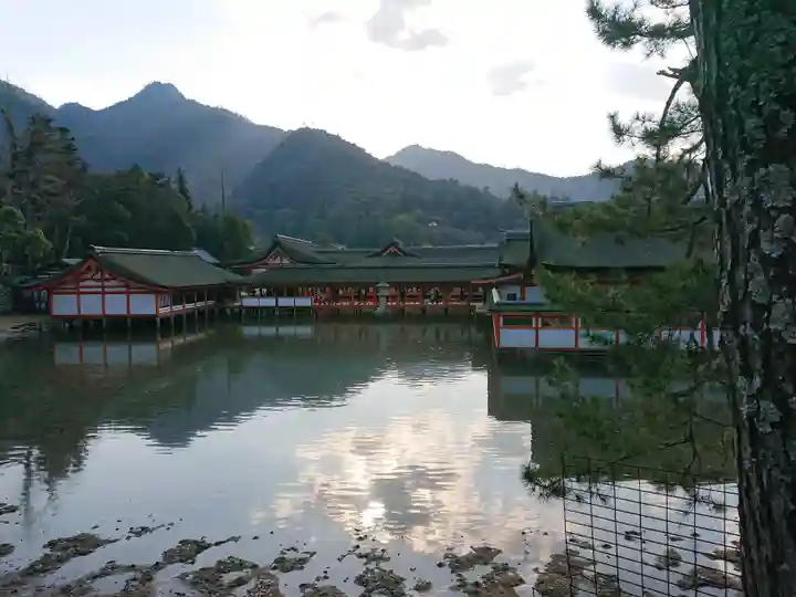 厳島神社の景色