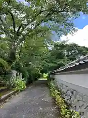 橋本院(奈良県)