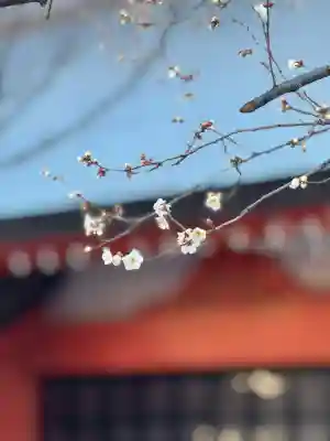 花園神社(東京都)