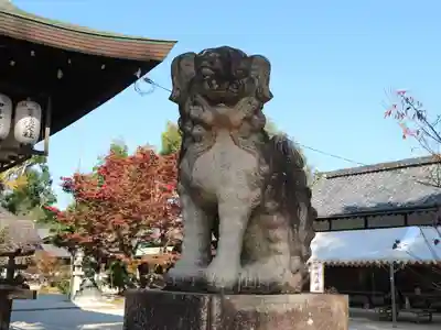 今宮神社の狛犬