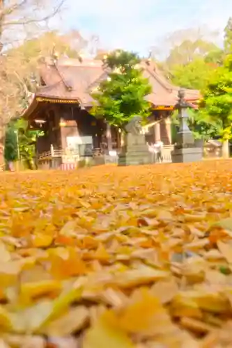 玉敷神社(埼玉県)