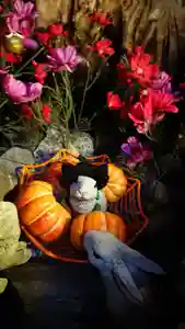 三輪神社の狛犬(2021年10月31日(日) 19時45分44秒投稿)