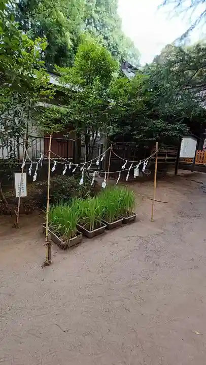 氷川女體神社の庭園
