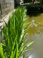 許麻神社(大阪府)