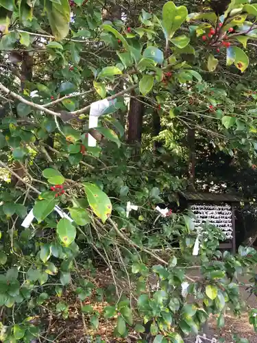 須佐神社の自然