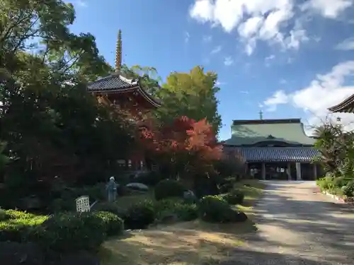 温泉山 安楽寺(四国霊場第六番札所)の建物その他