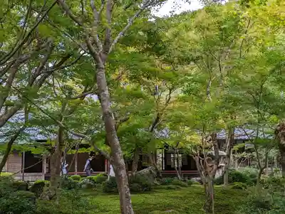 圓光寺(京都府)