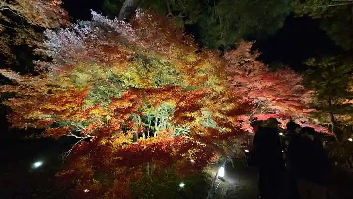 宝厳院(京都府)