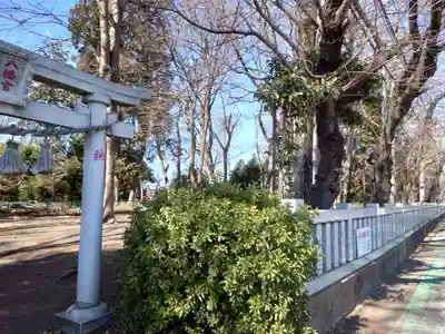 下溝八幡宮(神奈川県)