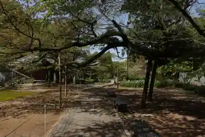 三角寺(愛媛県)