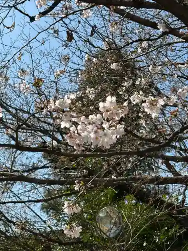 阿佐ヶ谷神明宮の{uncategorized: "未分類", other: "その他", undefined: "問題あり", building: "その他建物", grave: "お墓", sacred_gate: "鳥居", guardian: "狛犬", statue: "像", buddha: "仏像", history: "歴史", nature: "自然", garden: "庭園", animal: "動物", pagoda: "塔", temizu: "手水舎", mountain_gate: "山門・神門", sanctuary: "本殿・本堂", subordinate: "末社・摂社", art: "芸術", scenery: "景色", jizo: "地蔵", ema: "絵馬", goshuin: "御朱印", omikuji: "おみくじ", items: "授与品その他", amulet: "お守り", goshuincho: "御朱印帳", eats: "食事", festival: "お祭り", votive_dance: "神楽", shichigosan: "七五三参", wedding: "結婚式", experience: "体験その他", initially: "初詣", around: "周辺", anti_infection: "感染症対策"}