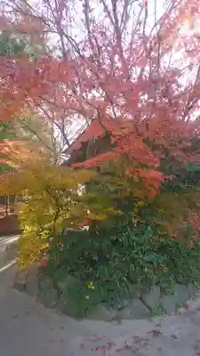 八重垣神社(島根県)