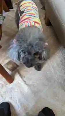 善行院(京都府)