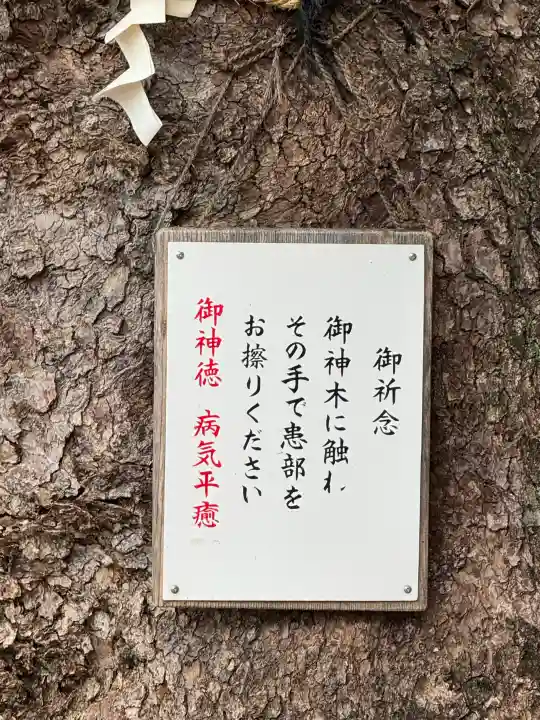 八幡社(児子八幡社)の{uncategorized: "未分類", other: "その他", undefined: "問題あり", building: "その他建物", grave: "お墓", sacred_gate: "鳥居", guardian: "狛犬", statue: "像", buddha: "仏像", history: "歴史", nature: "自然", garden: "庭園", animal: "動物", pagoda: "塔", temizu: "手水舎", mountain_gate: "山門・神門", sanctuary: "本殿・本堂", subordinate: "末社・摂社", art: "芸術", scenery: "景色", jizo: "地蔵", ema: "絵馬", goshuin: "御朱印", omikuji: "おみくじ", items: "授与品その他", amulet: "お守り", goshuincho: "御朱印帳", eats: "食事", festival: "お祭り", votive_dance: "神楽", shichigosan: "七五三参", wedding: "結婚式", experience: "体験その他", initially: "初詣", around: "周辺", anti_infection: "感染症対策"}