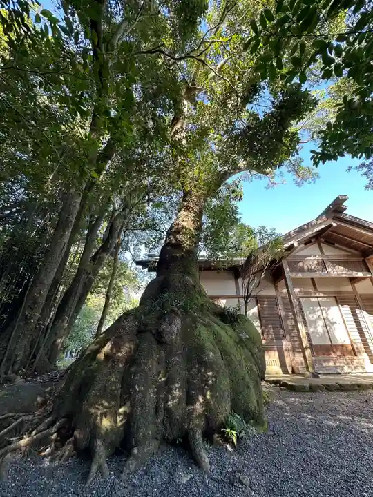 伊雜宮(皇大神宮別宮)(三重県)