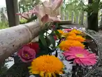 春日神社の手水舎