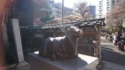 湯島天満宮の狛犬