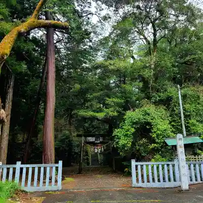 雨櫻神社(静岡県)