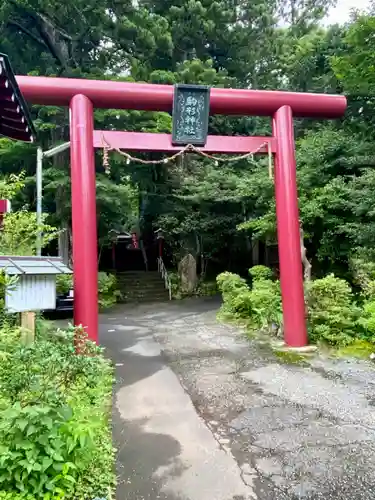 駒形神社（箱根神社摂社）(神奈川県)