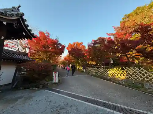禅林寺（永観堂）(京都府)