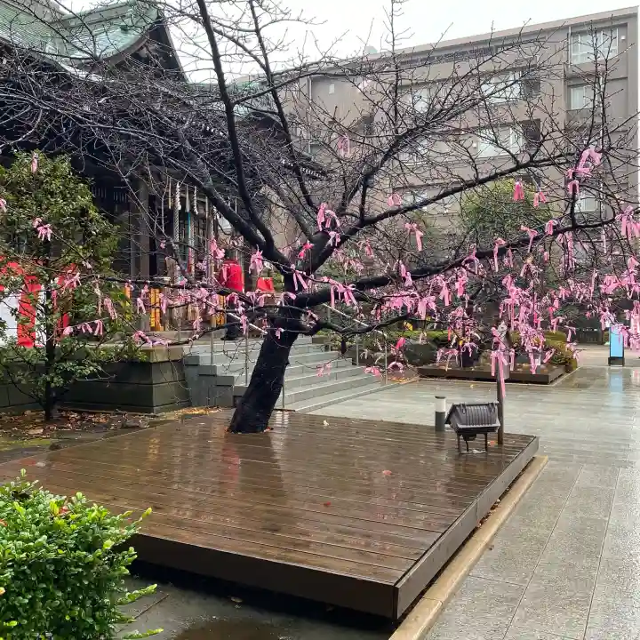 桜神宮の{uncategorized: "未分類", other: "その他", undefined: "問題あり", building: "その他建物", grave: "お墓", sacred_gate: "鳥居", guardian: "狛犬", statue: "像", buddha: "仏像", history: "歴史", nature: "自然", garden: "庭園", animal: "動物", pagoda: "塔", temizu: "手水舎", mountain_gate: "山門・神門", sanctuary: "本殿・本堂", subordinate: "末社・摂社", art: "芸術", scenery: "景色", jizo: "地蔵", ema: "絵馬", goshuin: "御朱印", omikuji: "おみくじ", items: "授与品その他", amulet: "お守り", goshuincho: "御朱印帳", eats: "食事", festival: "お祭り", votive_dance: "神楽", shichigosan: "七五三参", wedding: "結婚式", experience: "体験その他", initially: "初詣", around: "周辺", anti_infection: "感染症対策"}