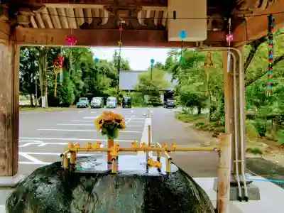 乃木神社の手水舎