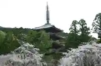 醍醐寺(京都府)