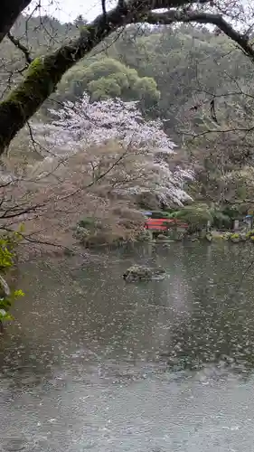醍醐寺(京都府)