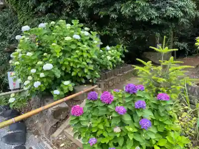 長谷寺(神奈川県)