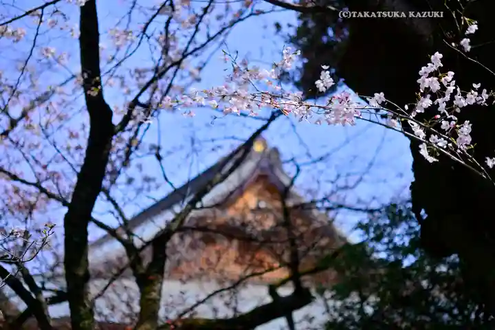 靖國神社(東京都)