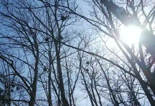 長沼神社の自然