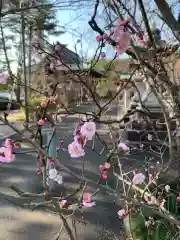 常宮神社の自然