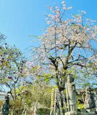 東光寺（田島町）の{uncategorized: "未分類", other: "その他", undefined: "問題あり", building: "その他建物", grave: "お墓", sacred_gate: "鳥居", guardian: "狛犬", statue: "像", buddha: "仏像", history: "歴史", nature: "自然", garden: "庭園", animal: "動物", pagoda: "塔", temizu: "手水舎", mountain_gate: "山門・神門", sanctuary: "本殿・本堂", subordinate: "末社・摂社", art: "芸術", scenery: "景色", jizo: "地蔵", ema: "絵馬", goshuin: "御朱印", omikuji: "おみくじ", items: "授与品その他", amulet: "お守り", goshuincho: "御朱印帳", eats: "食事", festival: "お祭り", votive_dance: "神楽", shichigosan: "七五三参", wedding: "結婚式", experience: "体験その他", initially: "初詣", around: "周辺", anti_infection: "感染症対策"}