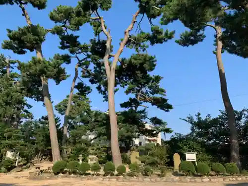  放生津八幡宮の自然