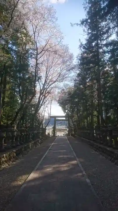 伊波乃西神社の自然