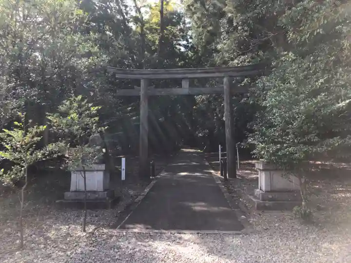 若狭彦神社(上社)の鳥居