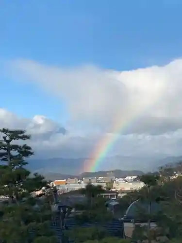 京都祇園堂（廃寺？）の自然