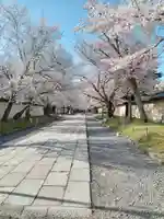 醍醐寺(京都府)