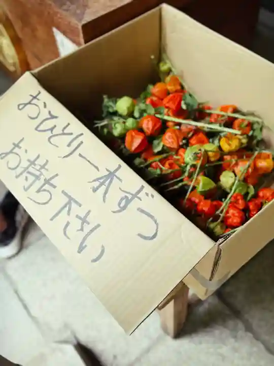 愛宕神社(東京都)