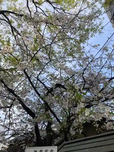 木場 洲﨑神社(東京都)