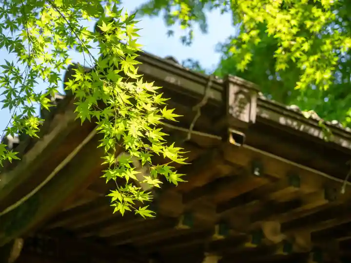 四合稲荷神社の{uncategorized: "未分類", other: "その他", undefined: "問題あり", building: "その他建物", grave: "お墓", sacred_gate: "鳥居", guardian: "狛犬", statue: "像", buddha: "仏像", history: "歴史", nature: "自然", garden: "庭園", animal: "動物", pagoda: "塔", temizu: "手水舎", mountain_gate: "山門・神門", sanctuary: "本殿・本堂", subordinate: "末社・摂社", art: "芸術", scenery: "景色", jizo: "地蔵", ema: "絵馬", goshuin: "御朱印", omikuji: "おみくじ", items: "授与品その他", amulet: "お守り", goshuincho: "御朱印帳", eats: "食事", festival: "お祭り", votive_dance: "神楽", shichigosan: "七五三参", wedding: "結婚式", experience: "体験その他", initially: "初詣", around: "周辺", anti_infection: "感染症対策"}