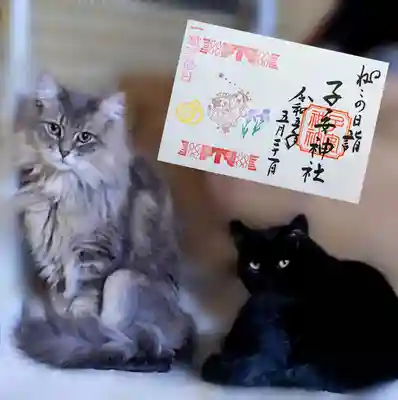 ねこの日詣御朱印 5月