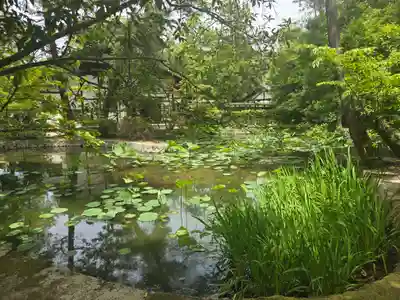 戒学院(奈良県)