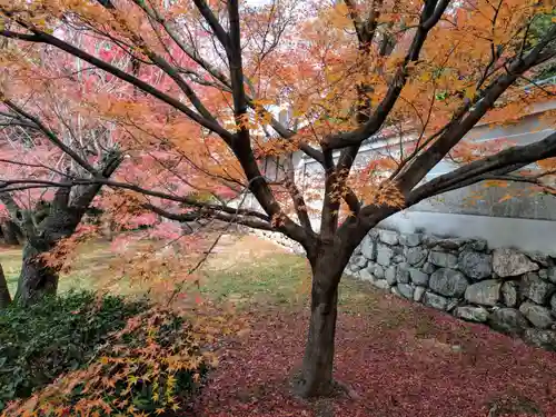 養源院(京都府)