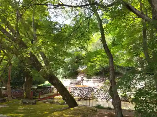 玉龍寺(岐阜県)