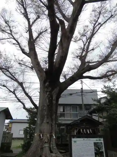 龍ケ崎八坂神社(茨城県)