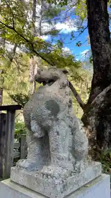 穂高神社奥宮の狛犬