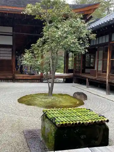 建仁寺（建仁禅寺）の庭園