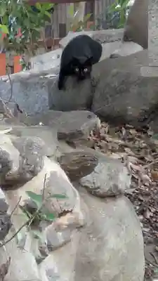 花山稲荷神社(京都府)